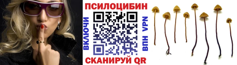 продажа наркотиков  Тюкалинск  Псилоцибиновые грибы прущие грибы 